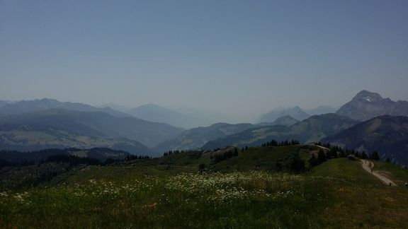 20150704_133358 (Large)_reduit