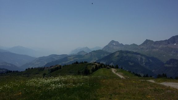 20150704_133359 (Large)_reduit