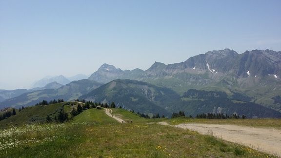 20150704_133401 (Large)_reduit