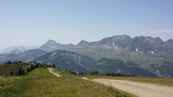 20150704_133402 (Large)_reduit