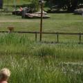 DSC02564_reduit
