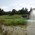 DSC02566_reduit