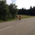 Image_8