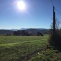 IMG_0050_resultat