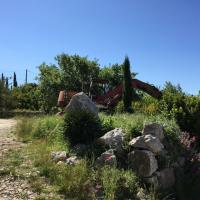 IMG_0655_reduit