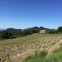 IMG_0659_reduit