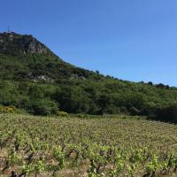 IMG_0660_reduit