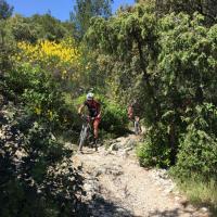 IMG_0675_reduit