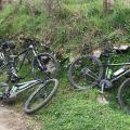 IMG_0867_resultat