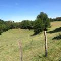 IMG_1909_reduit