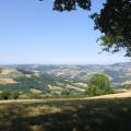 IMG_1914_reduit