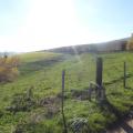 P1090752_reduit
