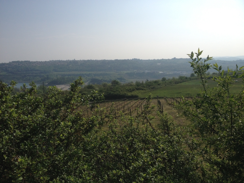 rallye des vergers 2014 VTT_51