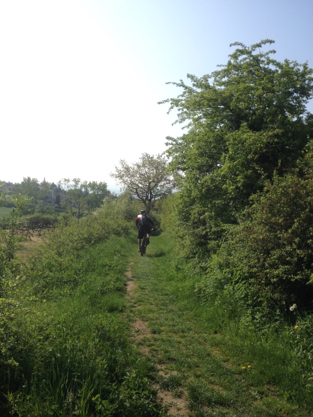 rallye des vergers 2014 VTT_60