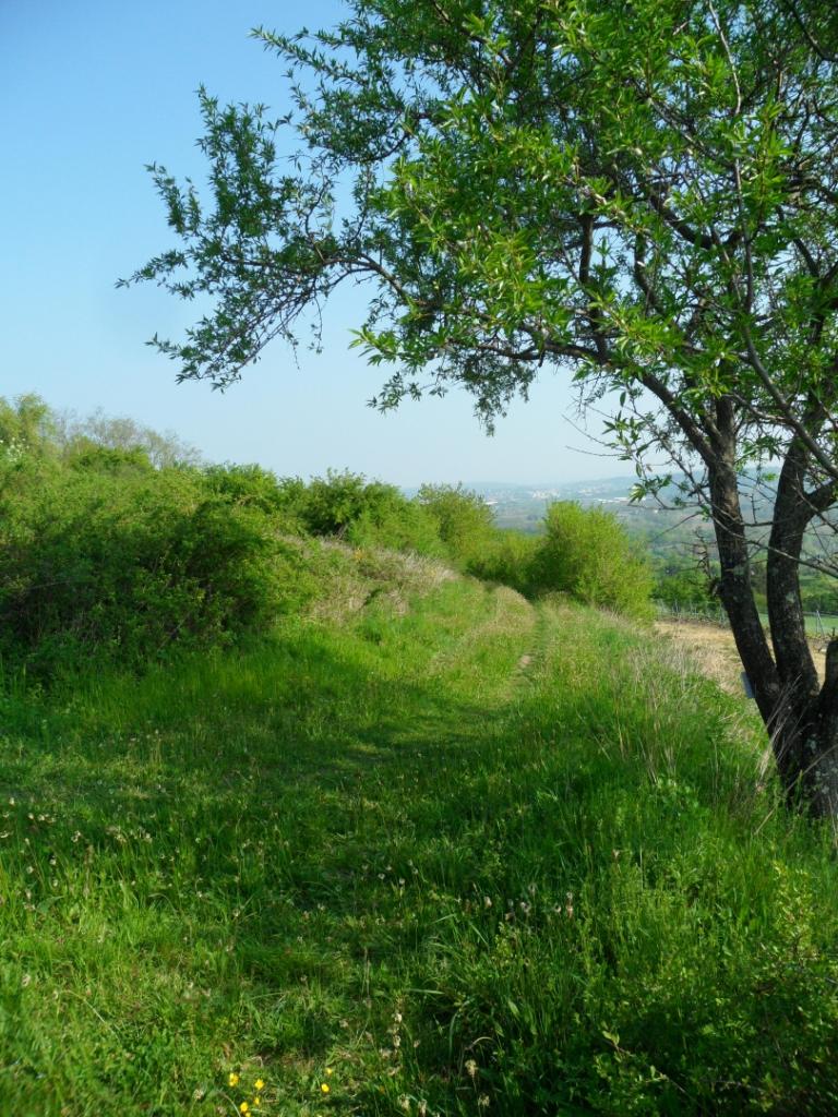 rallye des vergers 2014 VTT2_1