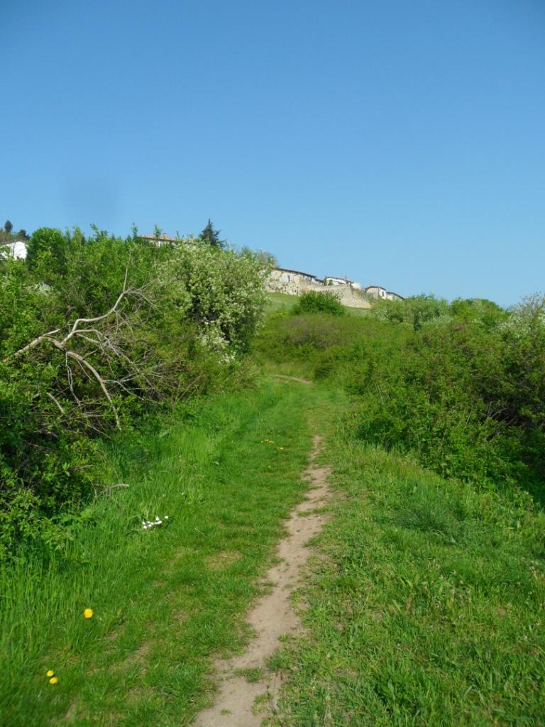 rallye des vergers 2014 VTT2_2