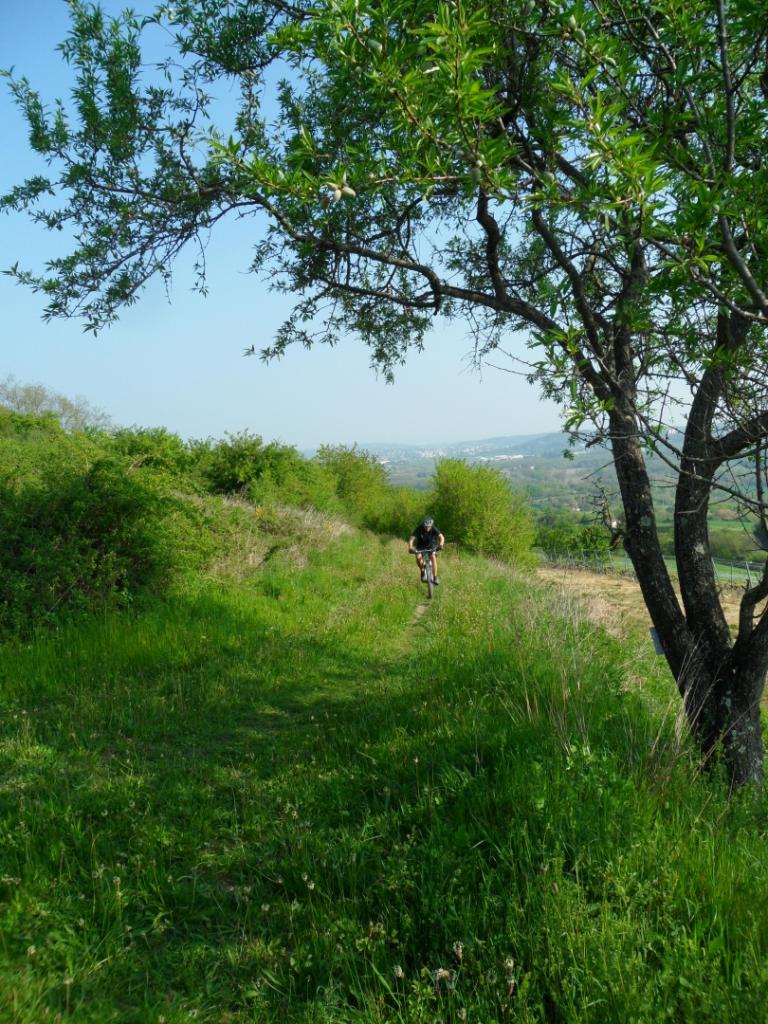 rallye des vergers 2014 VTT2_3