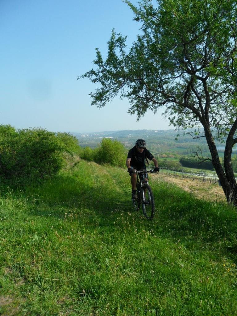 rallye des vergers 2014 VTT2_4