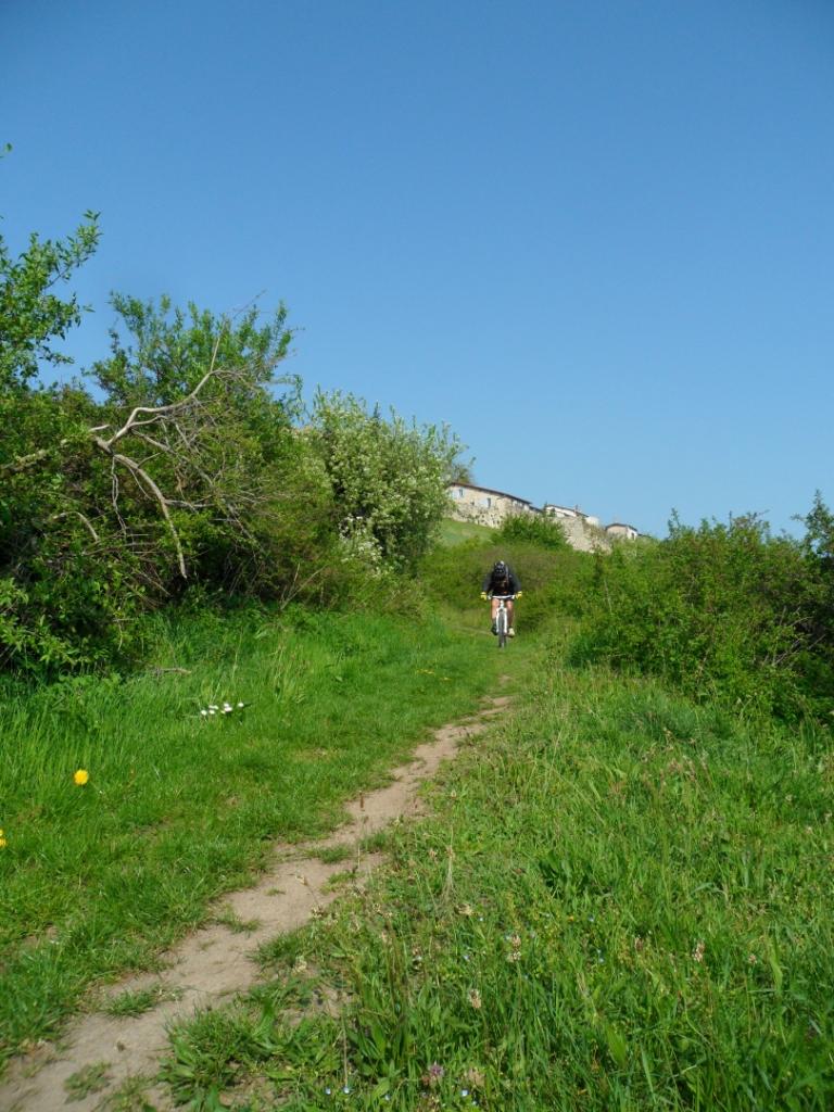 rallye des vergers 2014 VTT2_5