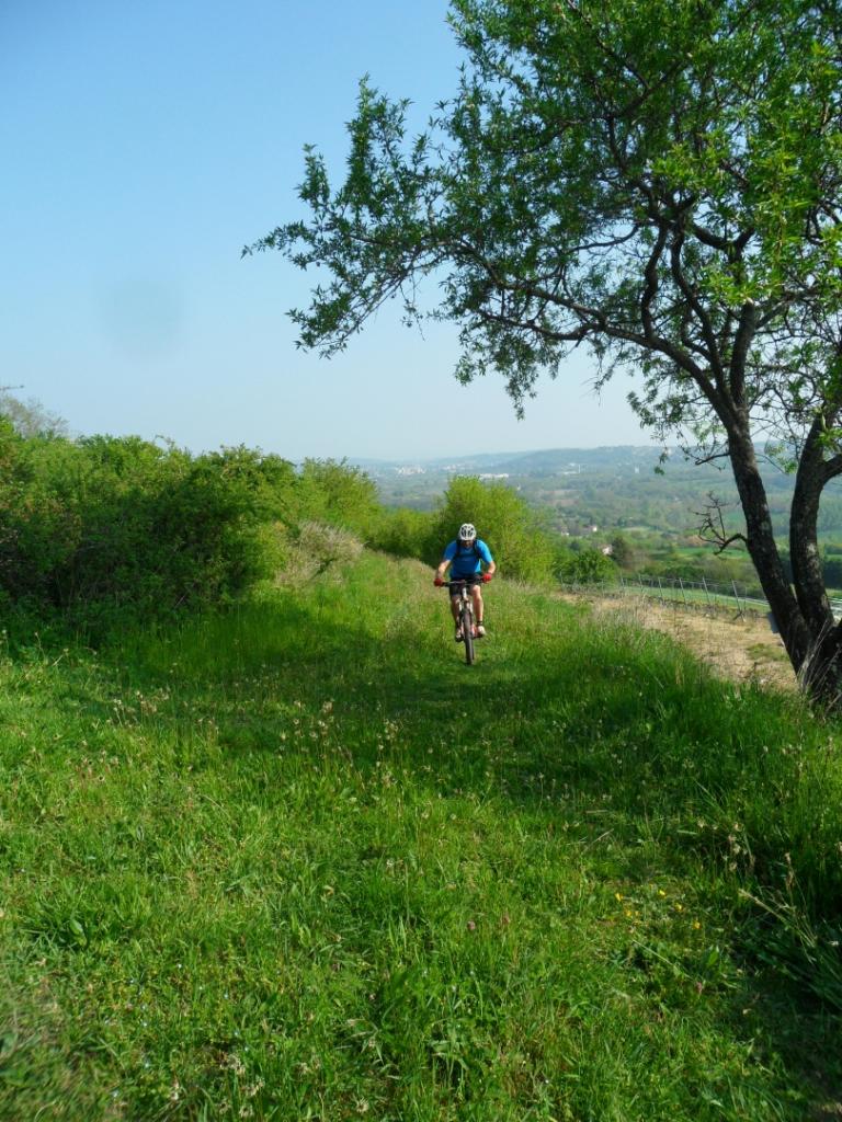rallye des vergers 2014 VTT2_8