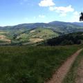Sampoutaire 2014_11