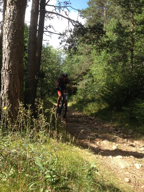 St cham VTT2014_14