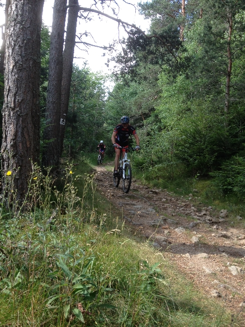 St cham VTT2014_21