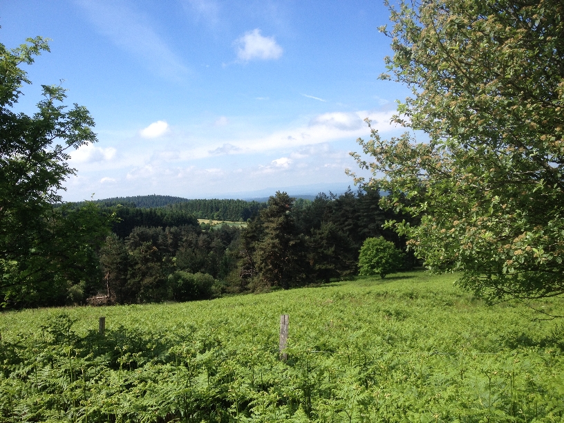 tarentaisienne2014_11