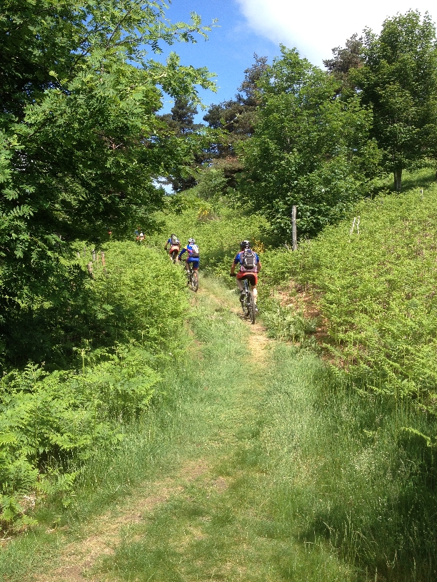 tarentaisienne2014_12