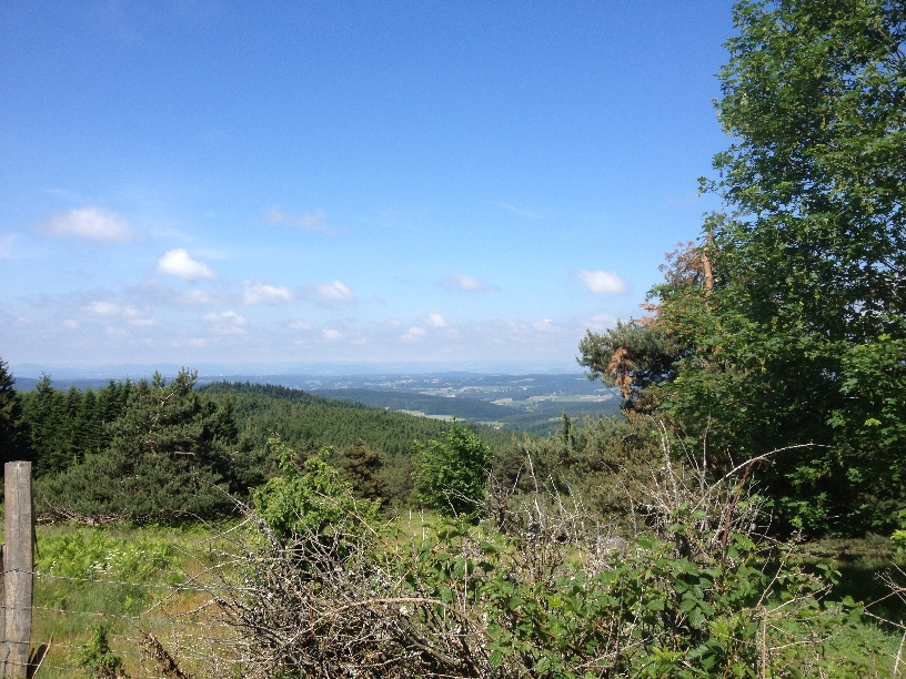 tarentaisienne2014_15