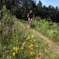 tarentaisienne2014_3