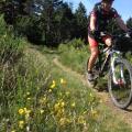 tarentaisienne2014_4