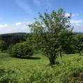 tarentaisienne2014_5