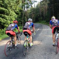 Route Forez Juillet 2014